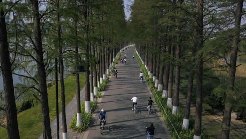 http://www.dspdaily.com/data/news/2004/2087713095_Wfun963L_78.JPG