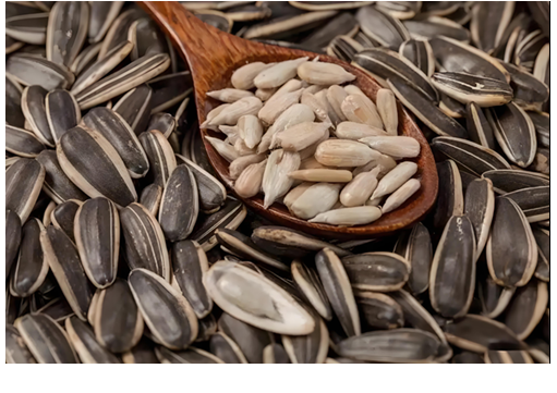 화면 캡처 2026-02-19 133718.png