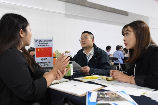 [포토] 제18차 세계한상대회 3일차, 국내 기업과 한상 간 비지니스 교류