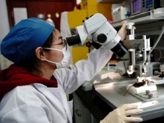 中 최근 고차원 과학연구 기여도 증장율 가장 빠른 나라로