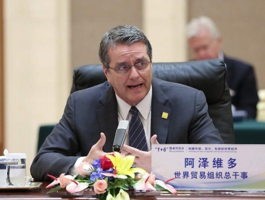 세계무역조직(WTO) 사무총장 아제베두 정식 사임