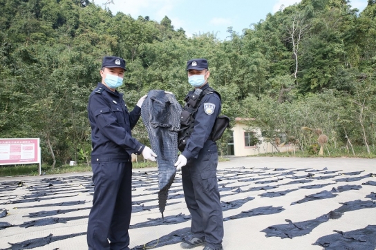 中 광시 불법 악어가죽 183장 압수