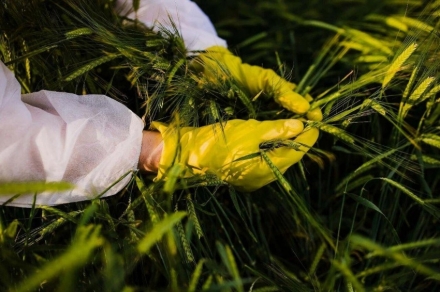 中, 농작물 유전자 빼돌린 해외 간첩단 적발