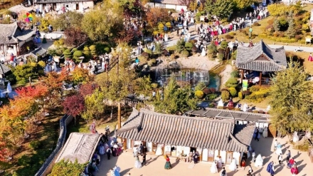 연길의 가을, 오색빛으로 물들다