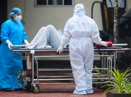 “치명률 75%” 니파 바이러스 인도서 발생…중국 국경 긴장