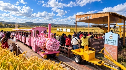 벼농사 마을에 관광객 몰렸다…연변 광동촌의 달라진 가을