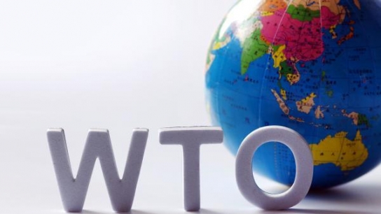 中 WTO 가입 후 20년간의 크고 굵직한 ‘이모저모’