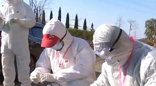 中 장쑤성, H10N3 조류독감 첫 인간 감염 사례 확인