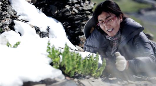 中, 에베레스트봉 6200m 지대서 식물 종자 채취 성공