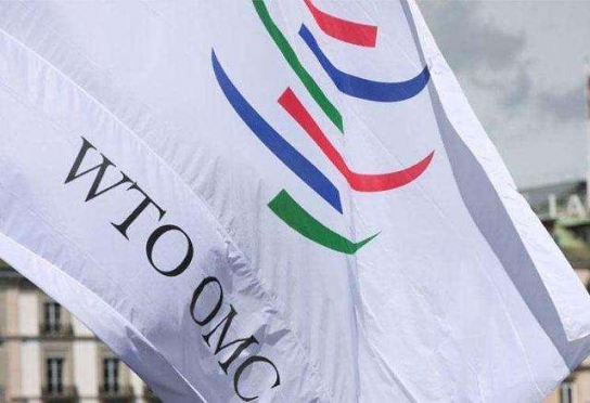 WTO 러시아 대표 “서방의 대러 제재는 WTO 규칙 체계 파괴”