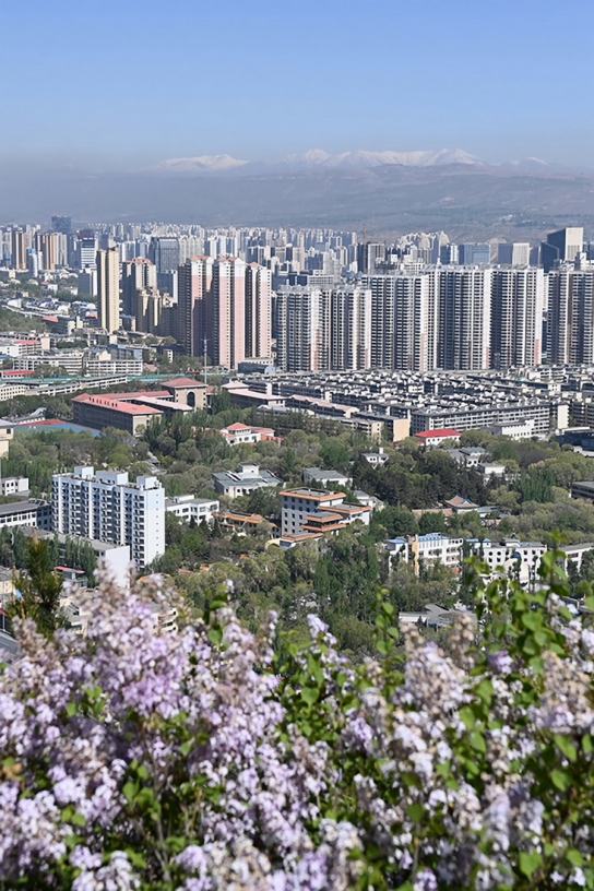 中 고원 도시 시닝 ‘꽃도시’로 변신