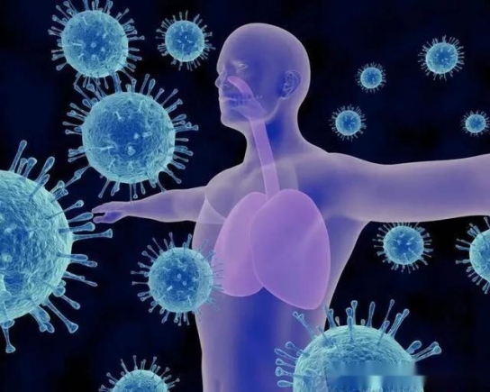 유럽발 H5N1 바이러스, 코로나보다 더 심각할 수도