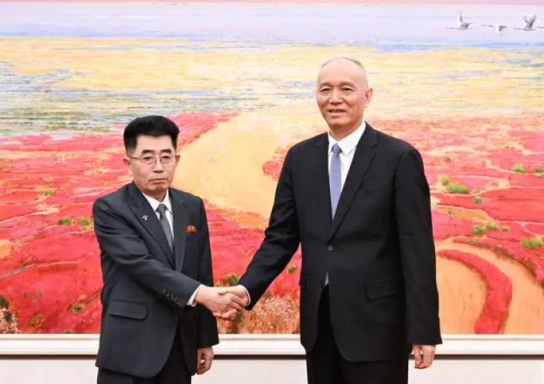 北 대표단, ‘中 서열 5위’ 차이치 만나 양국 관계 논의