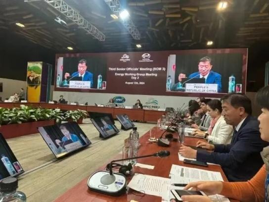 중국, APEC 에너지워킹그룹 의장 선출