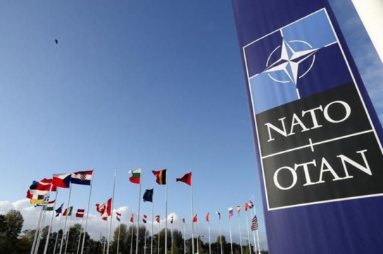 트럼프 이어 머스크도…미국, 유엔·NATO 탈퇴 ‘현실화’ 되나